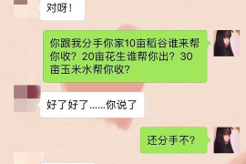 西峡要账公司更多成功案例详情